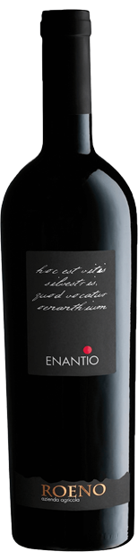 Enantio Valdadige Terra dei Forti 2018 DOC (0,75L) - Wein Vino Wine