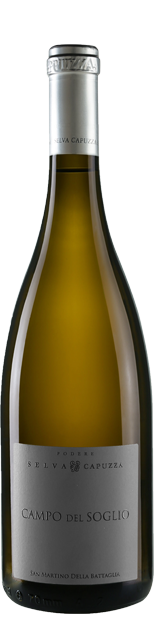 Campo del Soglio 2019 DOC (0,75L) - Wein Vino Wine
