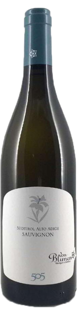 Alto Adige Sauvignon 2019 DOC (0,75L) - Wein Vino Wine